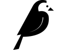 Wagtail CMS